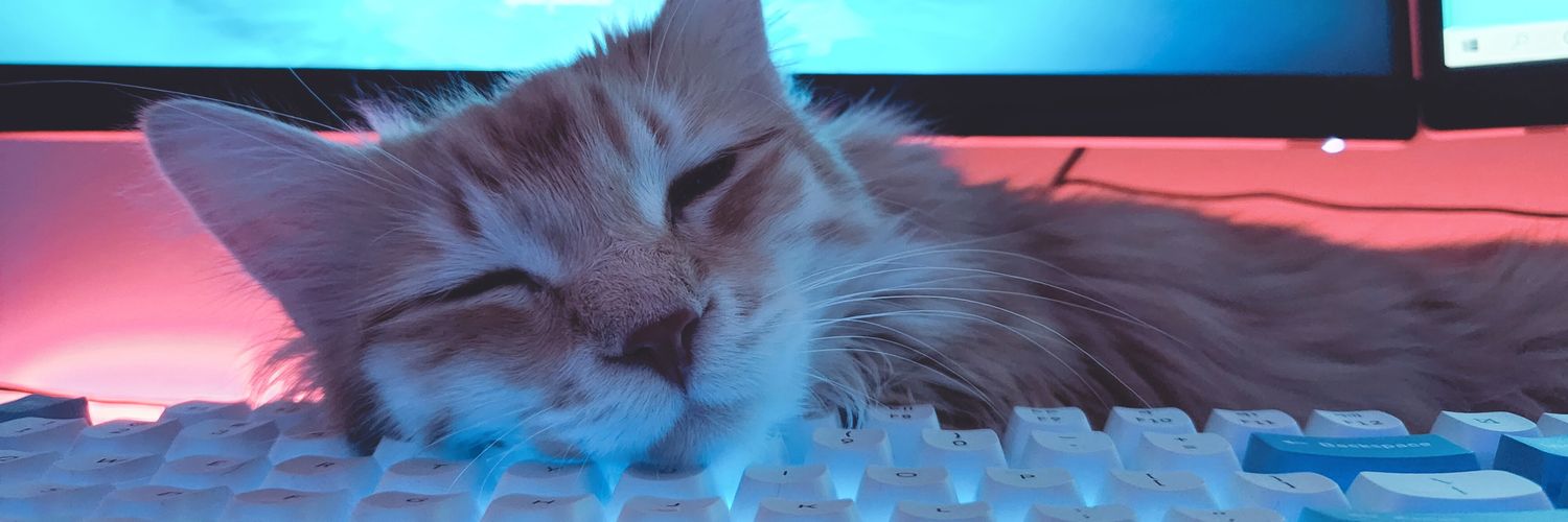 clyzsa's profile banner image