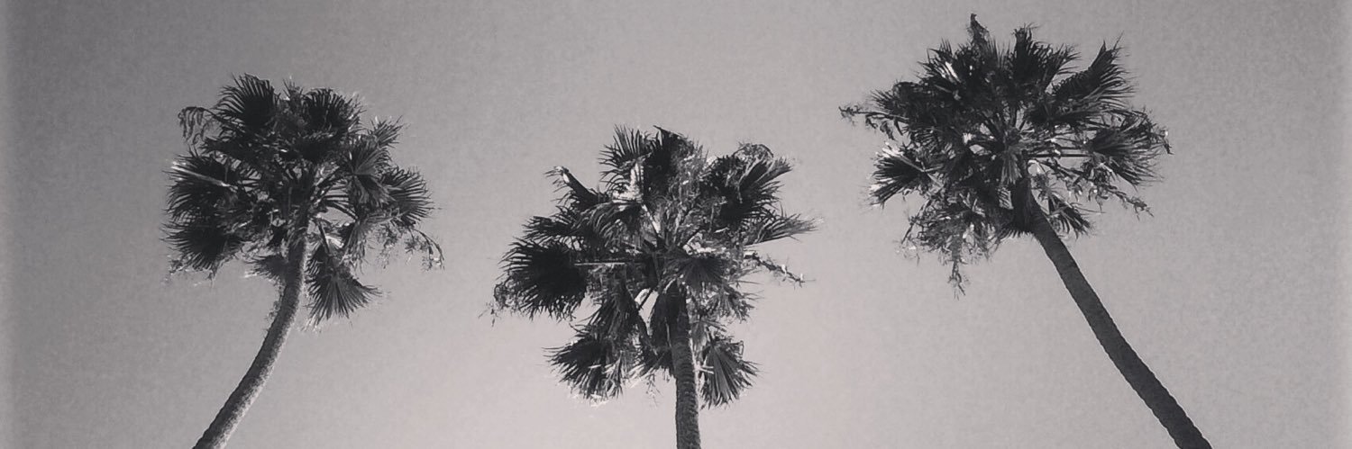 alexandersafdie's profile banner image