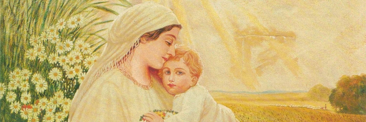 Fren cesconi 🧱 banner