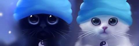 Red Wave roni das banner