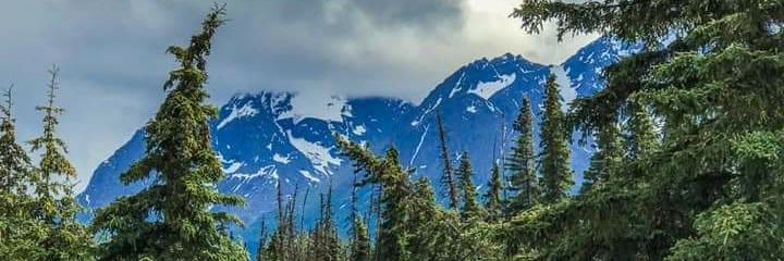 Baron Von Fawkauf banner