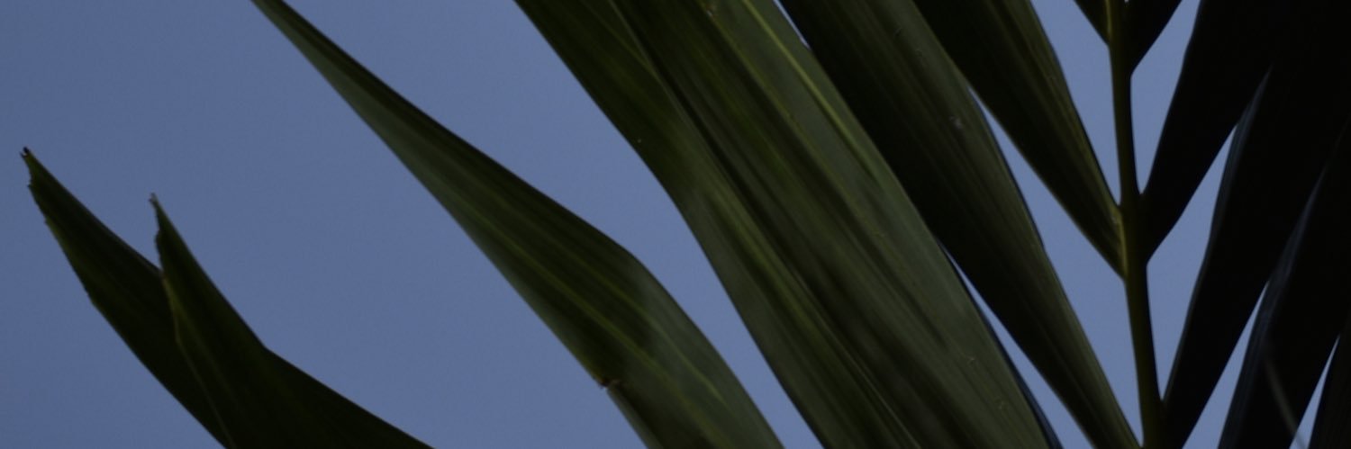 _kevinmrod's profile banner image