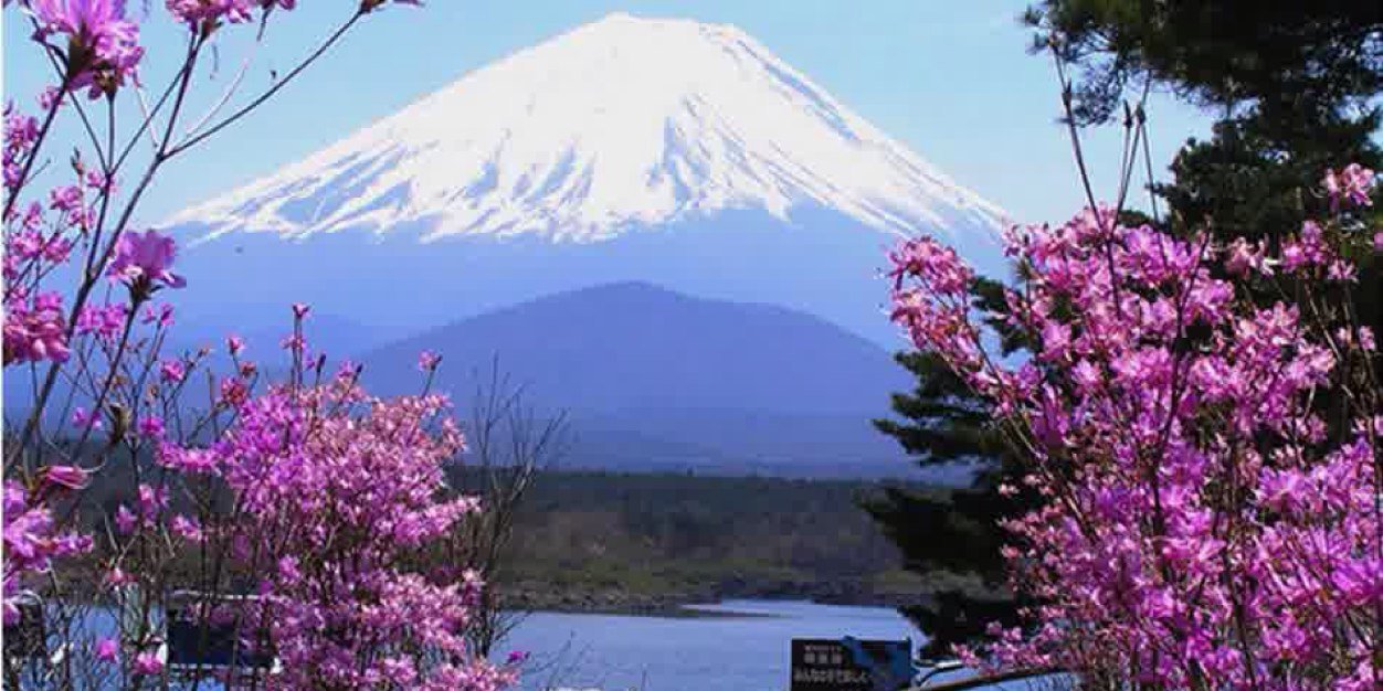 asihyulia's profile banner image