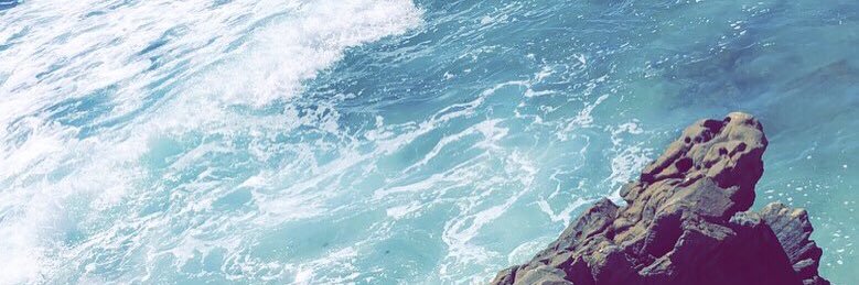 Megaladonis's profile banner image