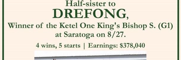 Craig Brogden banner