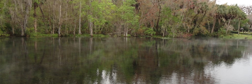 Gator_Bait_Bill's profile banner image