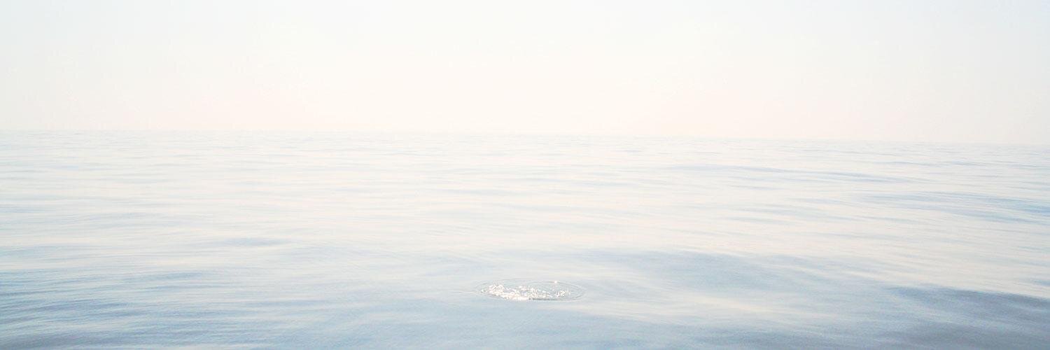 BluefishDigital's profile banner image