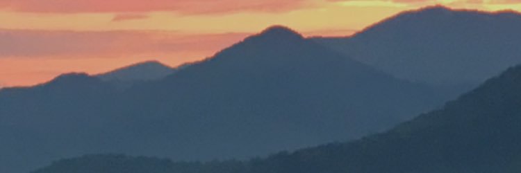 CifSarah's profile banner image