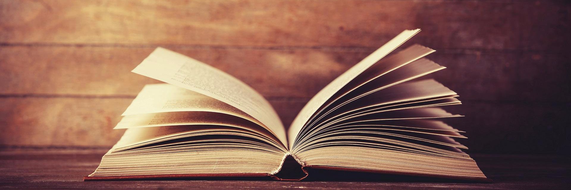 TheBookSyndrome's profile banner image