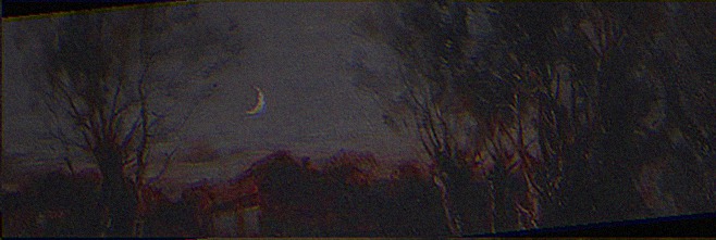neva9645's profile banner image