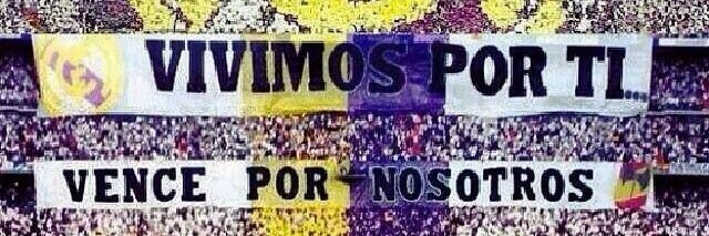 Elvis Quintana banner