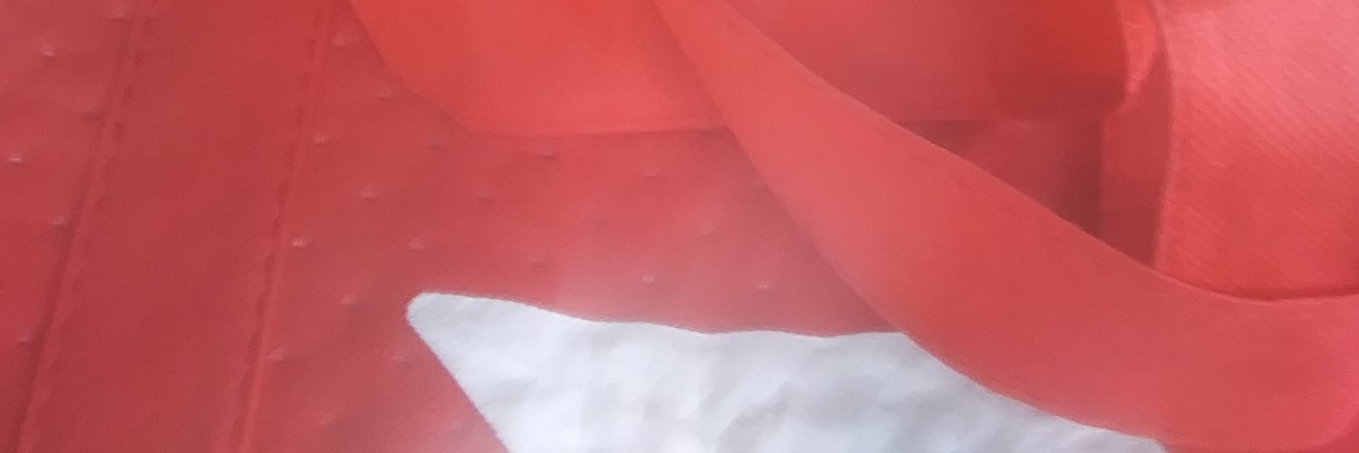 swhradebram's profile banner image