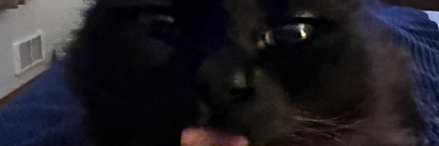 KodaPaige's profile banner image