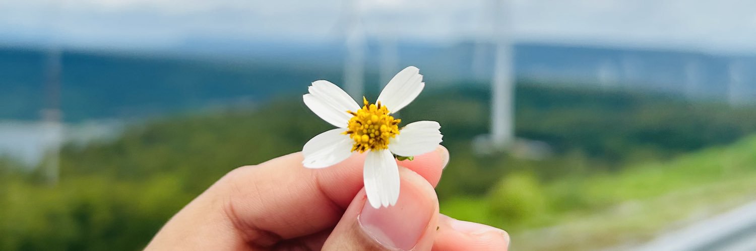 p_panla's profile banner image