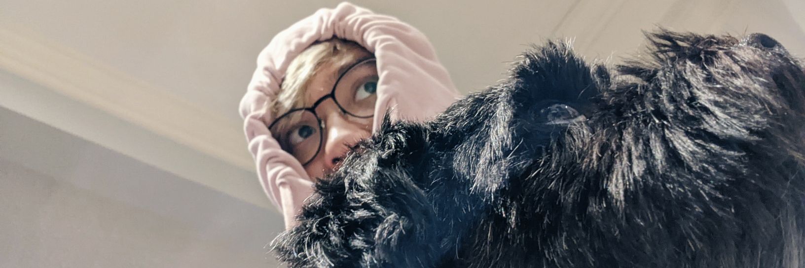 TamagoToast's profile banner image