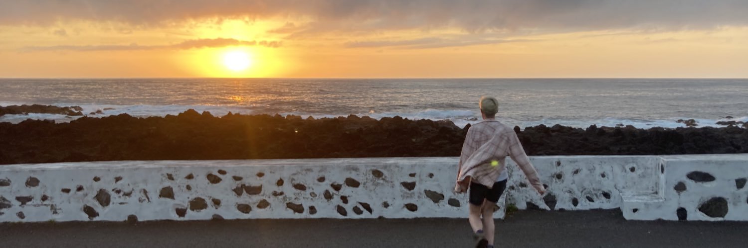 Dawn_Bronze's profile banner image