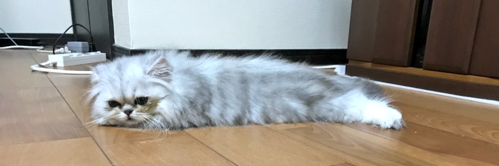 たすも banner