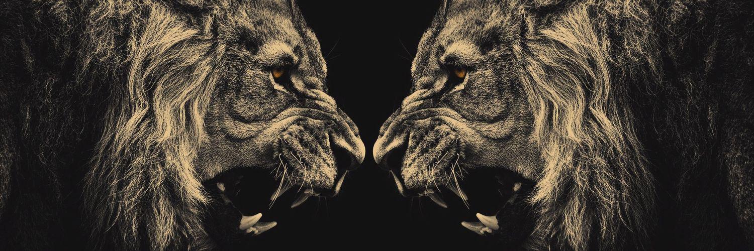 Mr_King_LP's profile banner image