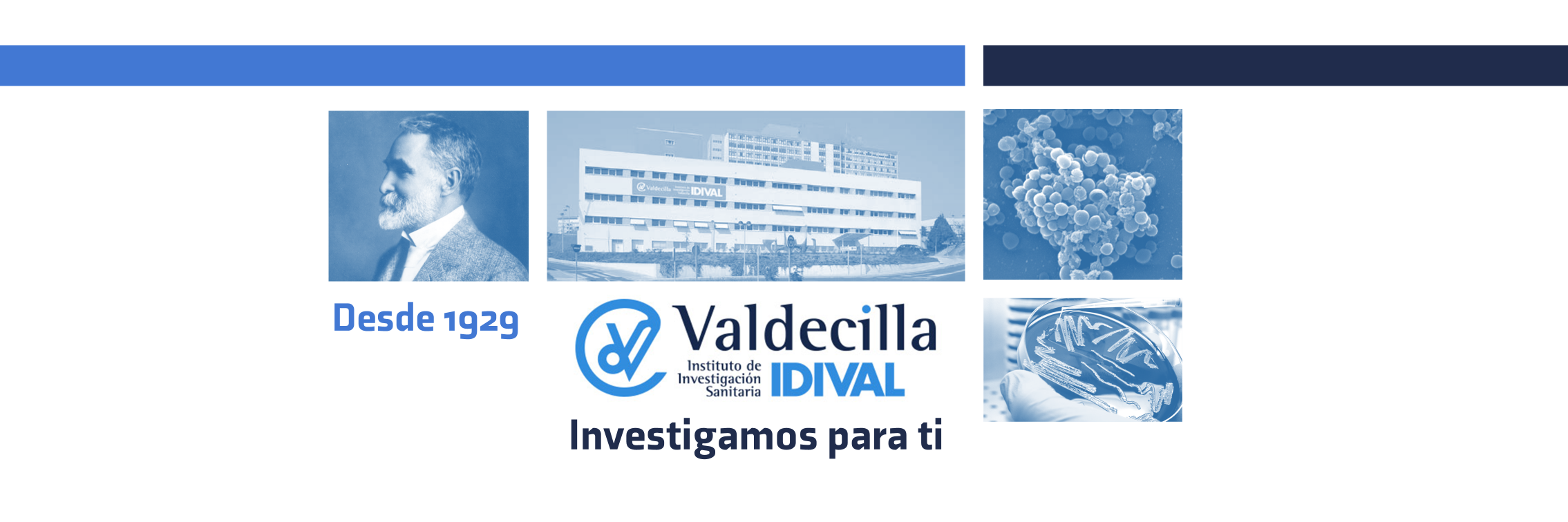 IDIVAL's banner