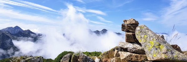 vernadec Profile Banner