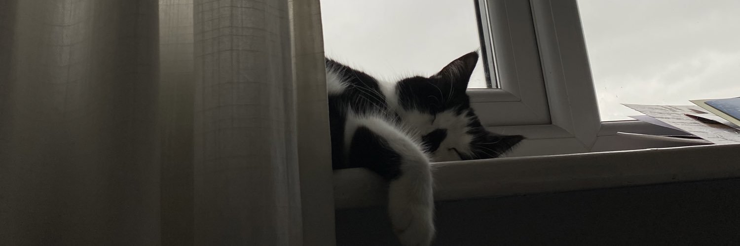 PoppySterry's profile banner image