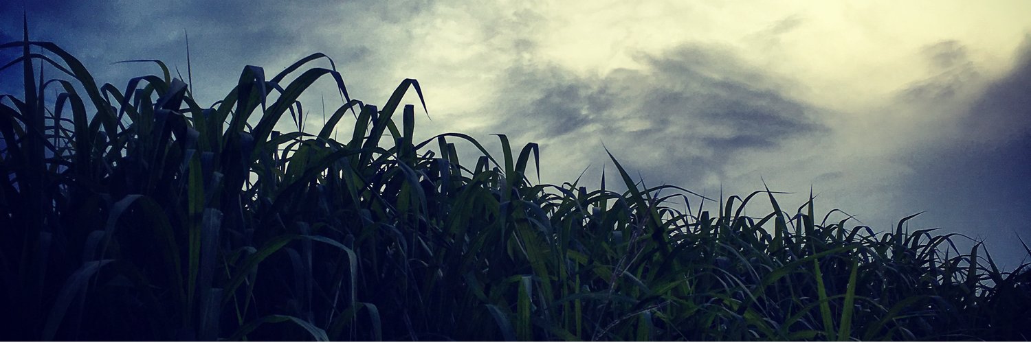 ivo1107's profile banner image