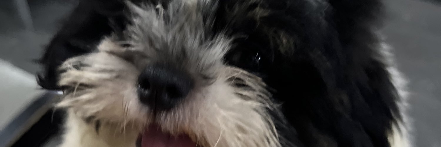 ChinoxJr's profile banner image