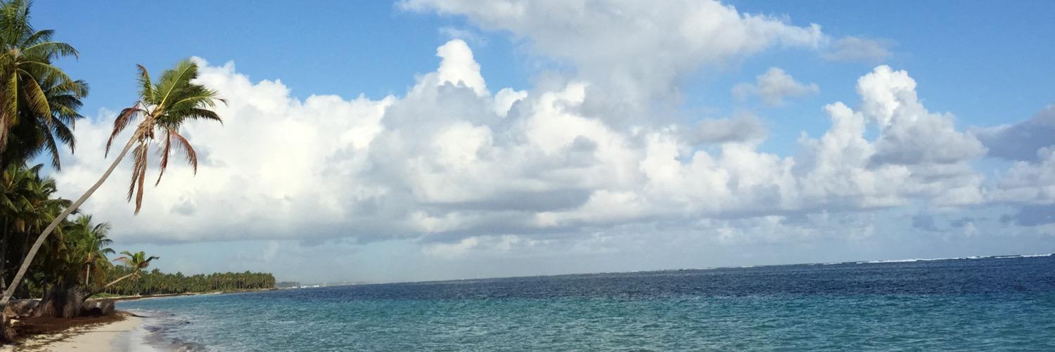 mlshc8's profile banner image