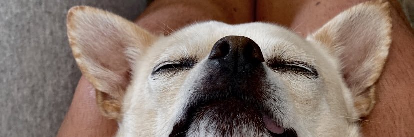 _malho_'s profile banner image