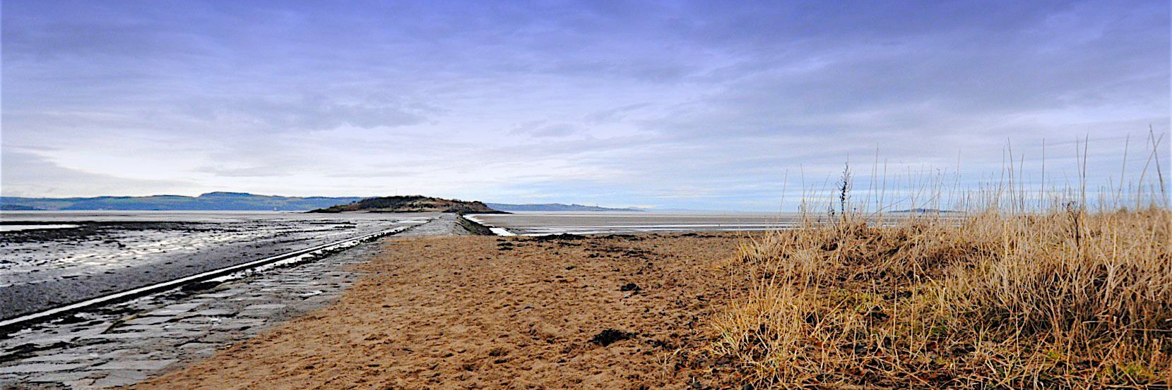Grace Emerton banner