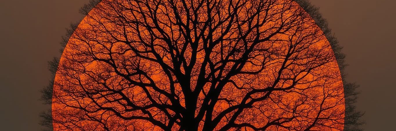 Josh21121's profile banner image