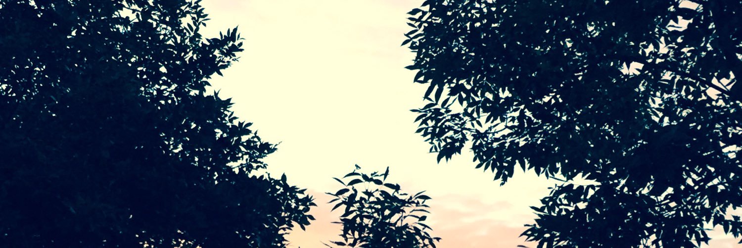 _moona74's profile banner image