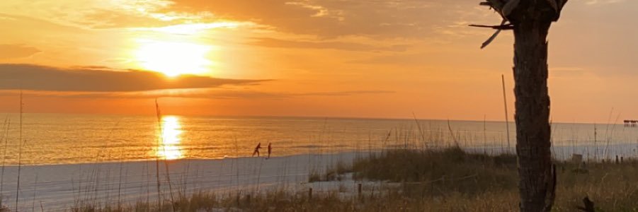 lex_rice99's profile banner image