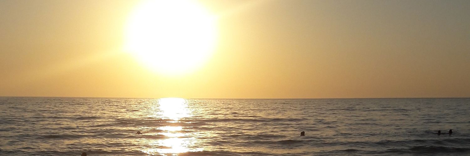 debbieschippers's profile banner image