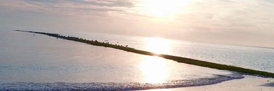Blueturnlight's profile banner image
