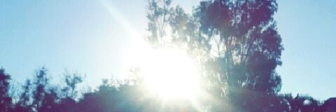 MeelStoessel's profile banner image