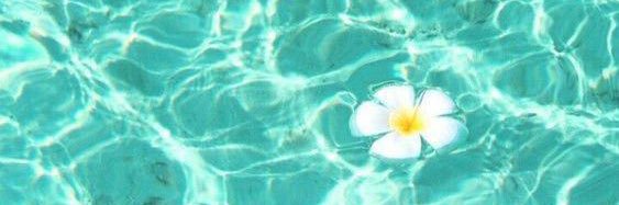 Talia Perry banner