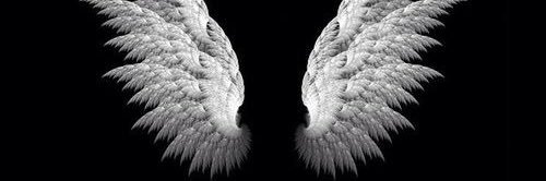 3bdullah190's profile banner image