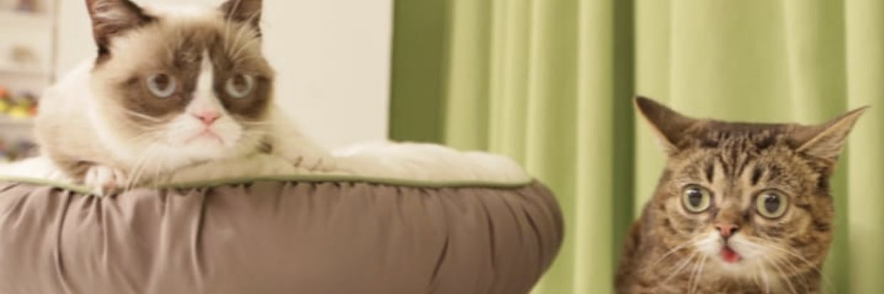 jessedeefy's profile banner image