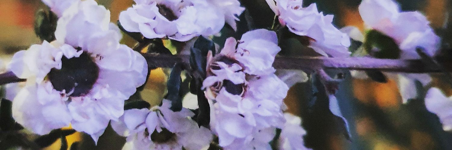 grabuzi's profile banner image