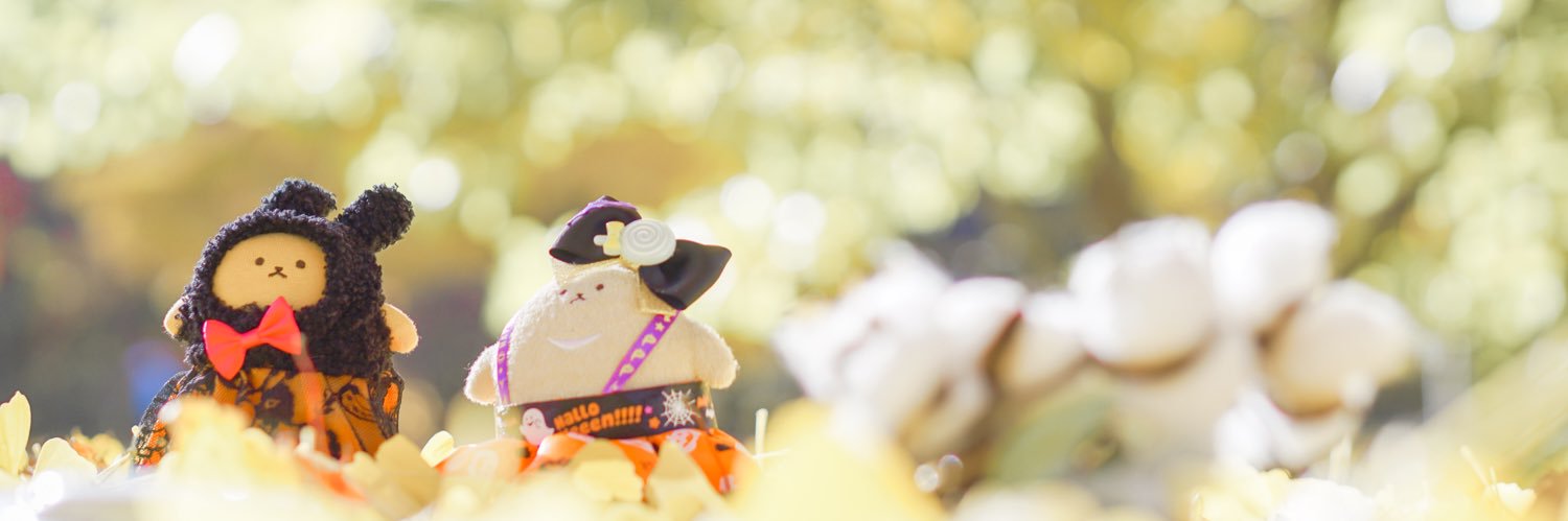 ____ran1205's profile banner image