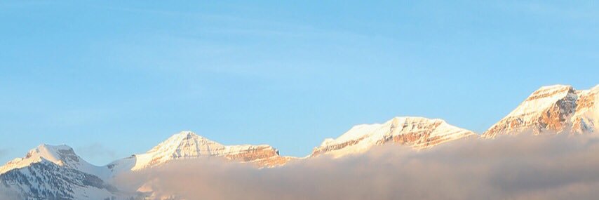 MMS_Lisa's profile banner image
