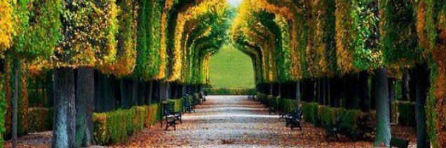 خالد المانع banner