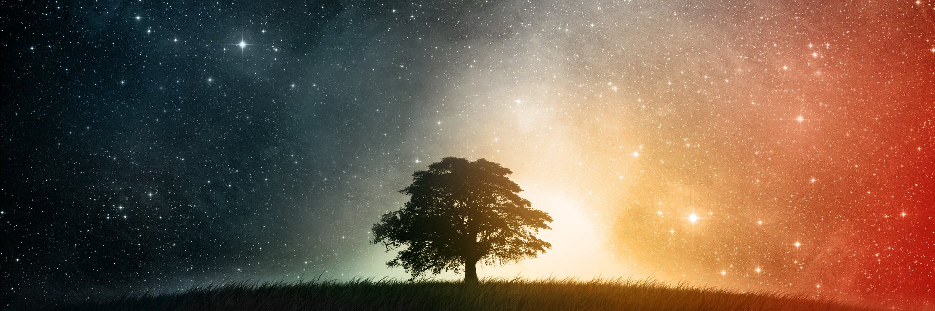 PhenSquare's profile banner image