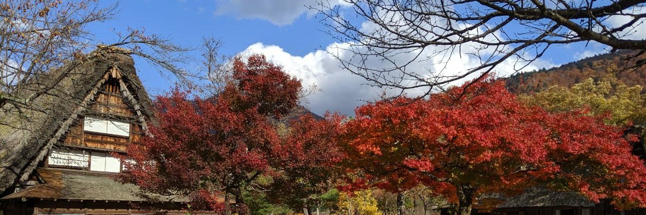 stefani d r babunya Burger banner