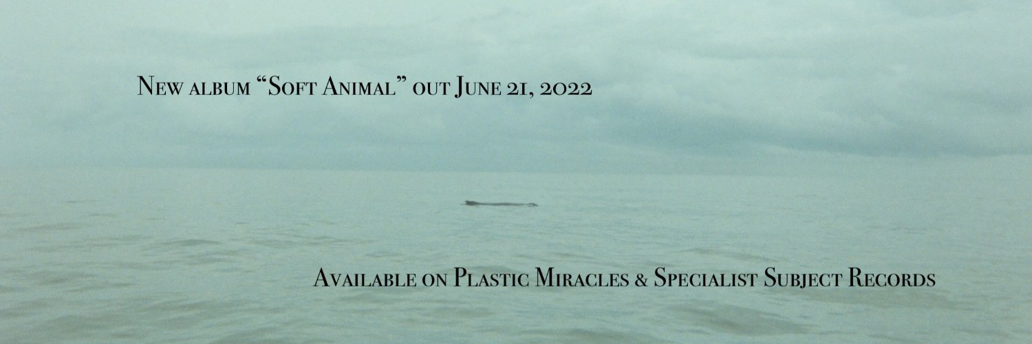 Long Neck 🦕 banner