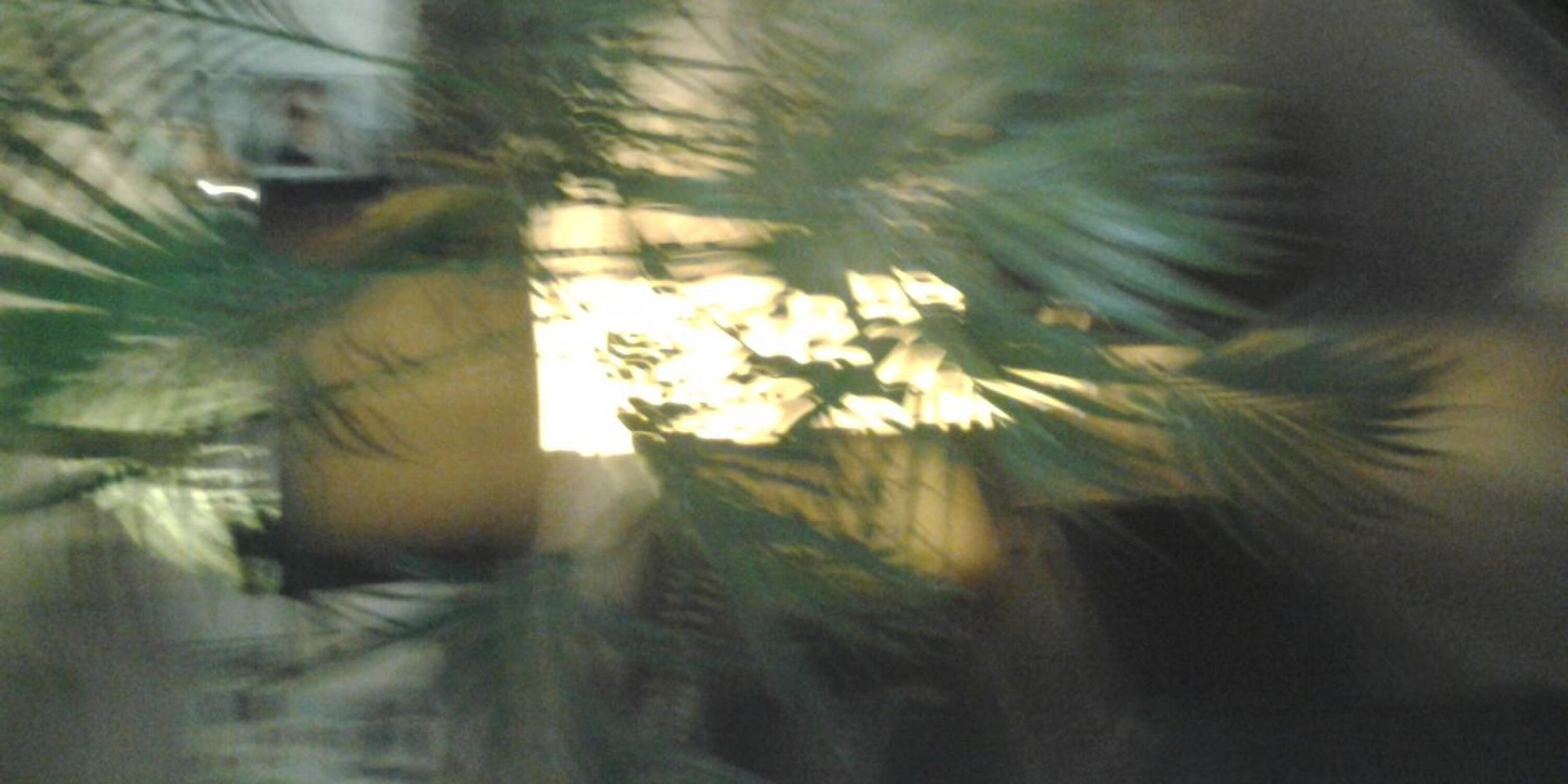 ttereke's profile banner image