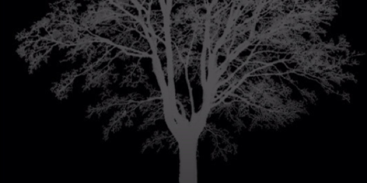 ecafkrod's profile banner image