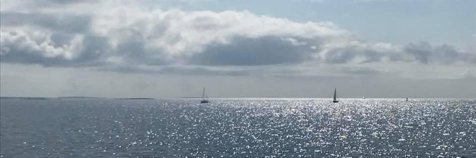 Sally Friedewald banner