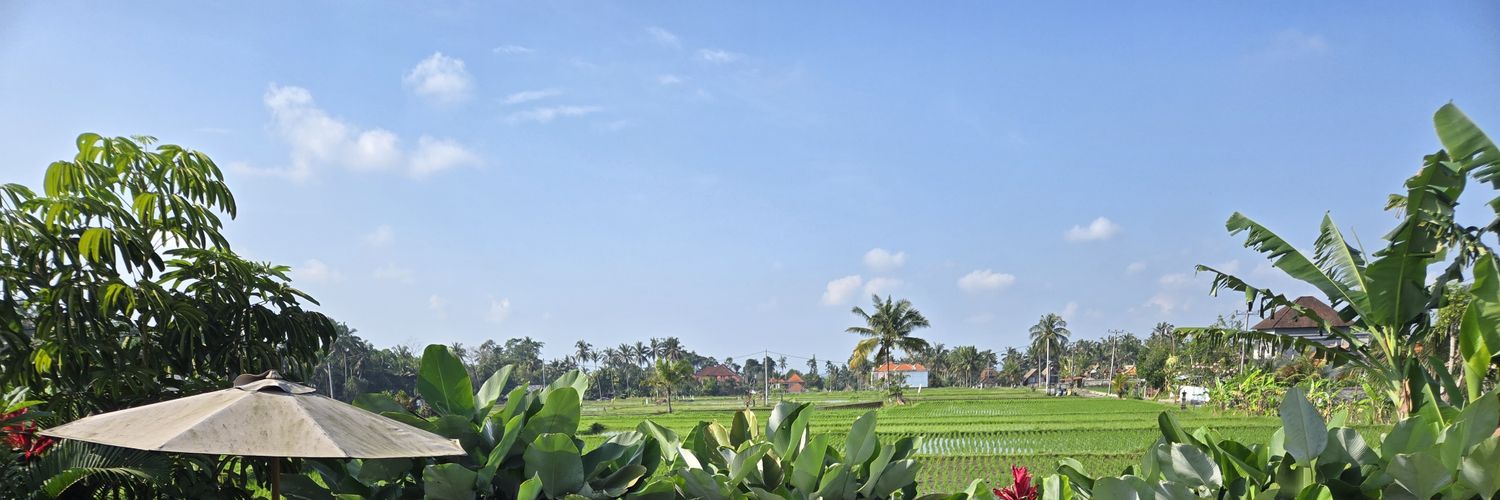 ronsandvar's profile banner image